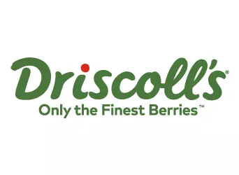 Driscoll's Logo Driscoll's ChilePromo.cl Regalos Corporativos